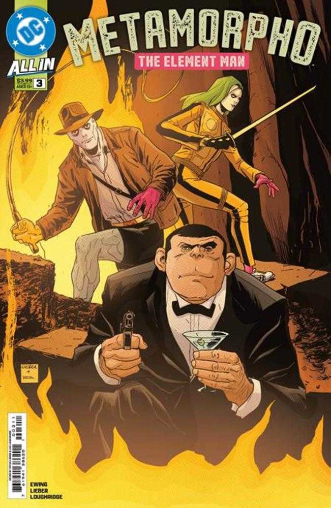 METAMORPHO THE ELEMENT MAN #3 COVER A STEVE LIEBER