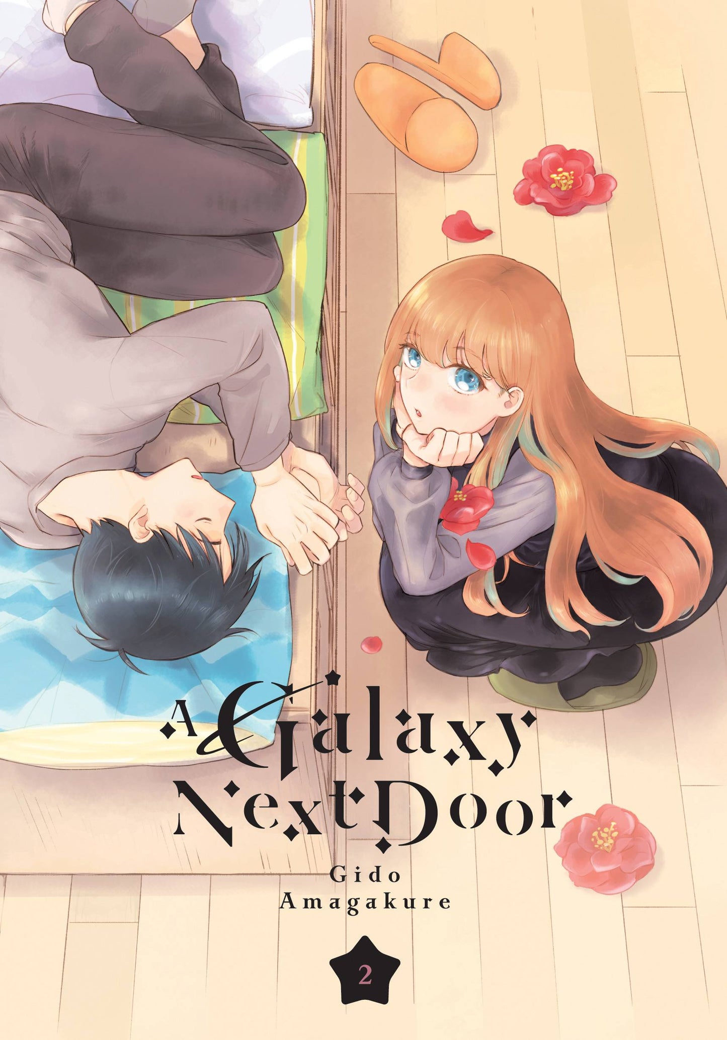 A GALAXY NEXT DOOR VOL 2